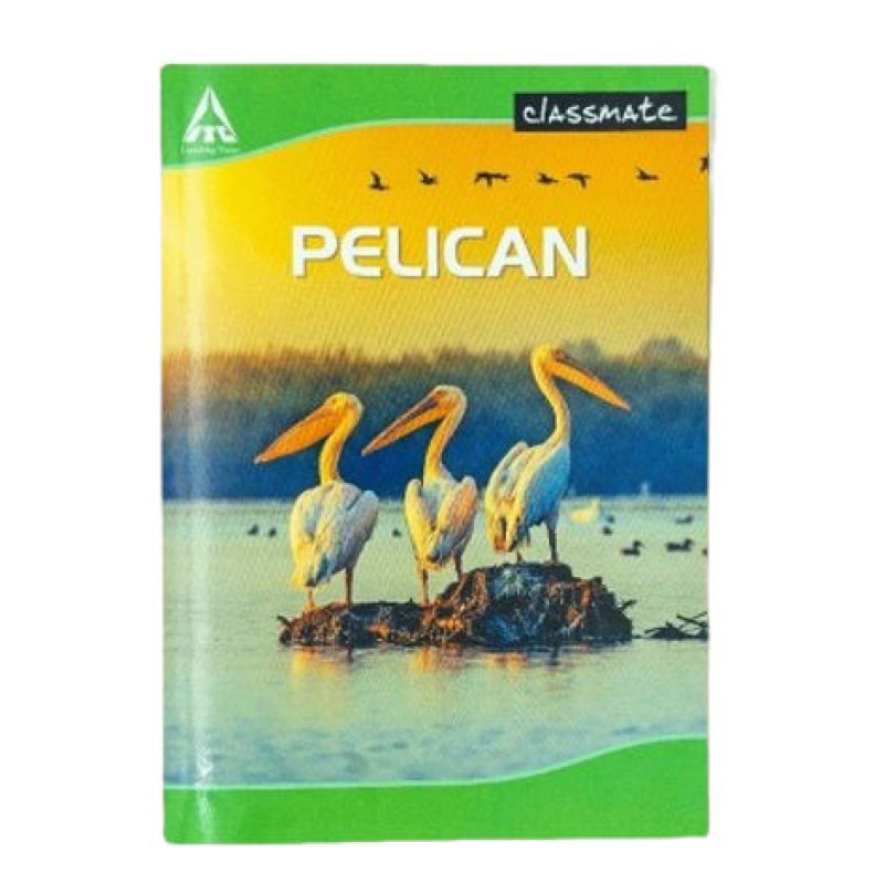 Classmate Longbook Single Line I Assorted 297X210 7 Classmate Longbook Single Line I Assorted 297X210 7